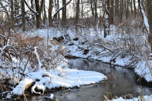 winter creek